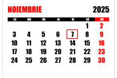 data Black Friday 2025